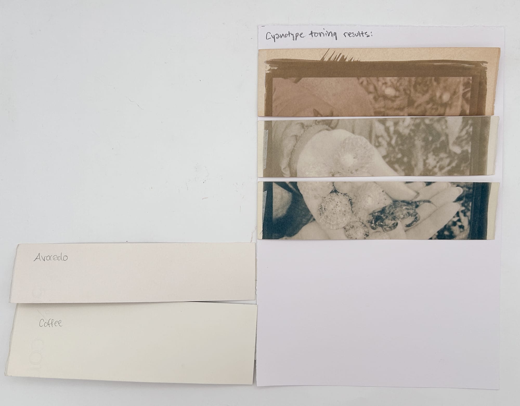 Assorted Sketches - 5