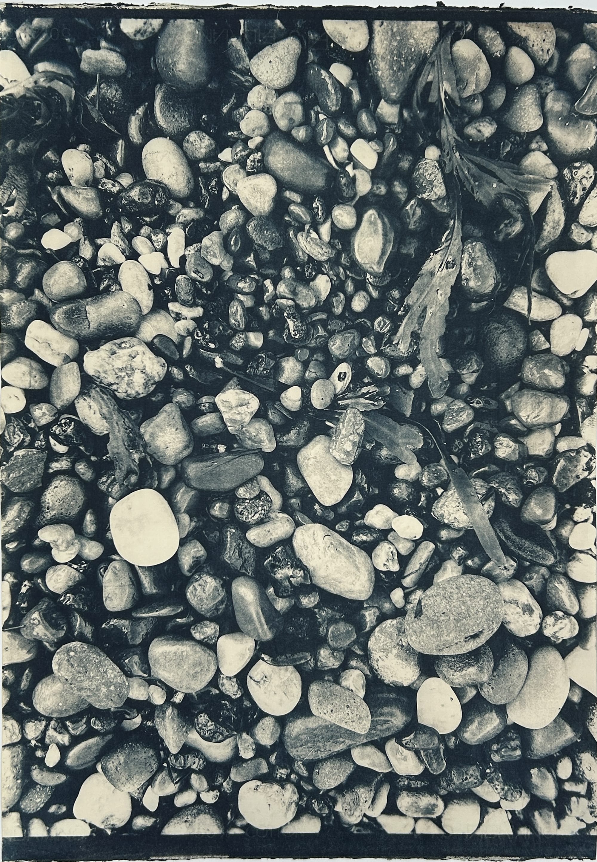 Pebble Cyanotypes No. 1 — No. 5 - 3