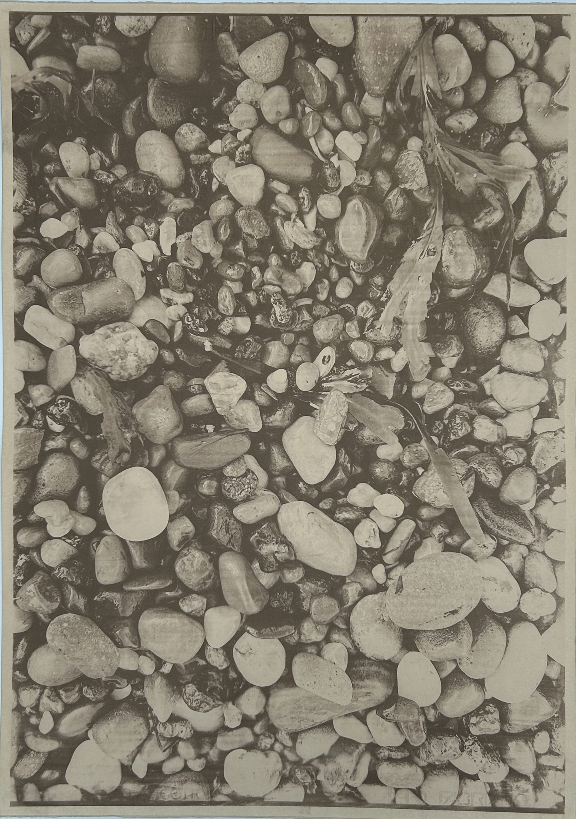 Pebble Cyanotypes No. 1 — No. 5 - 4