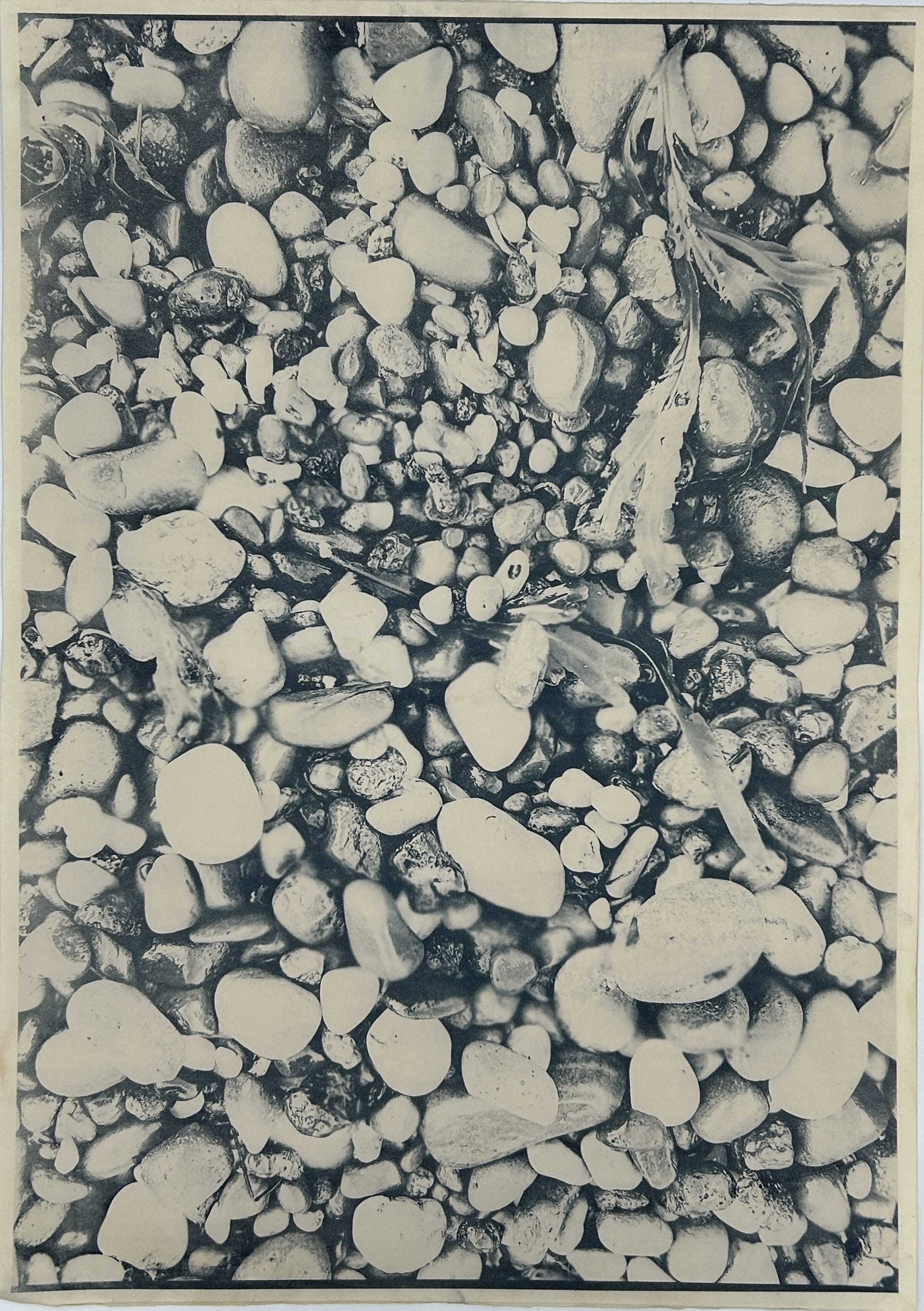 Pebble Cyanotypes No. 1 — No. 5 - 5